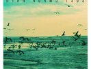 RYAN ADAMS - 1989 2 VINYL LP NEW+