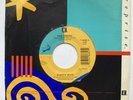 NEIL YOUNG Harvest Moon 45 7