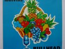 MELVINS LP: BULLHEAD, aus Privatbesitz