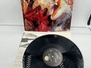 ENYA Watermark LP VG+ Plays Well 1988 Geffen GHS 24233 Vinyl Celtic Pop New Age