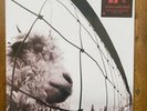 Pearl Jam – Vs.- 180g LP Vinyl Record 12