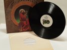 Grateful Dead Blues for Allah Vintage White LP  12