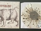 SIGNED THIRD EYE BLIND ursa major VINYL LP ALBUM AUTOGRAPH STEPHAN JENKINS