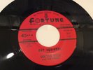 RARE DETROIT BLUES DOCTOR ROSS FORTUNE 857 CAT SQUIRREL/THE SUNNYLAND 1960 45