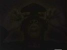 JAY-Z - The Black Album - Vinyl Record all Vinyl Record.. - H2505H