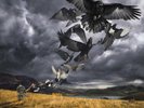 Rattle That Lock by David Gilmour (180g Vinyl LP), 2015, Sony Music