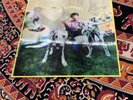 Rex Orange County Who Cares? Limited Edition SIGNED Lenticular Cover Vinyl