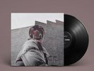AUTOGRAPHED SIGNED Aldous Harding Warm Chris Vinyl Print LP