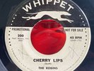 The Robins 45 Cherry Lips VG Whippet WLP Promo Doo Wop Rare Coasters