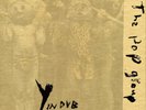 Pop Group-Y In Dub (UK IMPORT) VINYL NEW