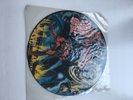 Iron Maiden Picture Disc 12 inch. Number of the Beast