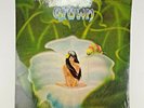 Hawaii– HOME GROWN: “Home grown acts doing home grown songs” (kkua Records, 1976