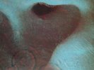 LP 33 Pink Floyd – Meddle Italy 1971 Waters Mason Gilmour Wright Barret