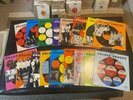 Set of 17 The Golden Groups Doo Wop Oldies R&B 33 RPM LP Compilation NM Albums