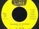 ED POWERS 'Shadows Of Morning' 1968 Michigan private Psych Never played 45