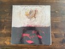 Upside-Down Mountain LP by Conor Oberst Vinyl Mint