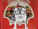 STATUS QUO DOG OF TWO HEAD LP Rare PYE NSPL 18371 Translucent Red EXCELLENT