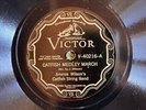 Victor 40216 Jimmie Wilson Catfish String Band ARGIN RAG Country 78 rpm 1929 EE+