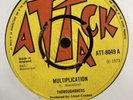 Thoroughbreds - Multiplication - Morning Rises 7