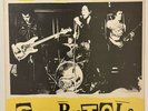Sex Pistols - Never Trust A Hippy Vinyl LP