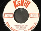 DORIS DREW: i'm alone but never lonely / french fried potatoes KAHILL 7