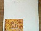 Sozialistisches Patienten Kollektiv ‎– Leichenschrei UK Press SER 02 1983 SPK
