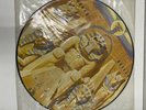 IRON MAIDEN POWERSLAVE  LP PICTURE DISC (UK: POWER PI EJ2402000).