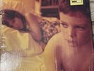 THE AFGHAN WHIGS Gentlemen 180g
