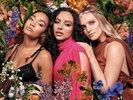 Little Mix - Between Us   -  2  x  Yellow  Vinyl LP Sealed