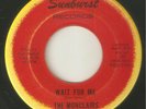 THE MONCLAIRS Wait For Me SUNBURST  NORTHERN SOUL USA 45