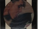 Blondie-Parallel Lines-Chrysalis 5001-PICTURE DISC SEALED