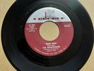 The Metronomes 1957 DOO WOP 45 Dear Don / How Much I Love You CADENCE VG+ HEAR