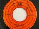LOS JOHNNY JETS - Deja de Llorar - RARE GARAGE MEXICO 45