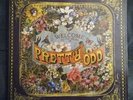 Panic at the Disco - Pretty.Odd (Black Vinyl LP Record, 2017 Repress)
