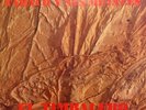 Tabaco Y Sus Metales – El Timbalero [1985] Vinyl LP Latin Salsa Guaguanco Bolero