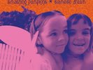 The Smashing Pumpkins, Siamese Dream, Vinyl