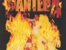 Pantera Reinventing the Steel White & Southern Flames Yellow  (Vinyl)