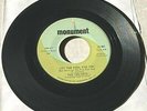 The Velvets - Let the Fool Kiss You.../If 45 Monument doo wop VG- HEAR