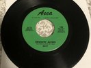 Rare Alabama Garage Psych 45 EASY “ Groovin Along” on ACCA 108 VG++