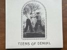Car Seat Headrest - Teens Of Denial Vinyl LP