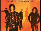 Primal Scream SONIC FLOWER GROOVE 180g New Sealed Black Vinyl Record LP