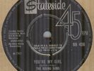 THE RISING SONS**YOU'RE MY GIRL**GARAGE**ROCK**THE STATESIDE LABEL**HEAR IT
