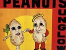 THE SUNGLOWS: The Original Peanuts  LP Ranchero Tejano Tex Mex Vinyl 1976 Vinyl