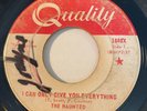 GARAGE PUNK The Haunted I CAN ONLY GIVE YOU EVERYTHING Quality 45 rare Canadian