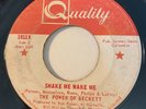 GARAGE The Power of Beckett SHAKE ME WAKE ME Quality 45 rare Canadian Montreal