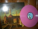 pink floyd animals rose collector