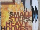 VINYL Dear And The Headlights Small Steps Heavy Hooves 2LP death cab for cutie