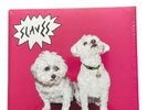 Are You Satisfied? by Slaves (Vinyl, 2015)