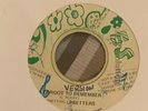 Shenley Duffus ‎– To Be A Lover-Vinyl, 7