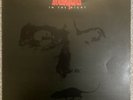 Stranglers – In The Night